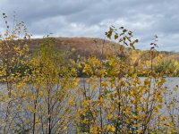 IMG_4179.jpeg