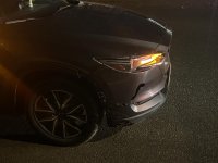 IMG_6656.jpeg