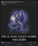 1709663993829.png