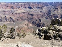 IMG_0126.jpg