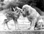 kindness-31.jpg kindness-31.jpg
