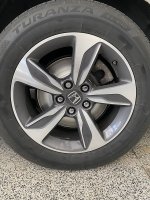 IMG_6426.jpeg
