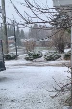 IMG_1386.jpeg
