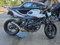 2019 Suzuki SV650X