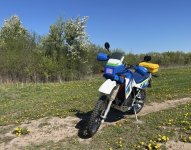 IMG_3260.jpeg