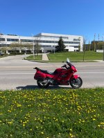 IMG_5255.jpeg