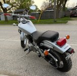 IMG_2027.jpeg