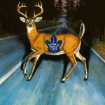Deer in Headlights.jpg
