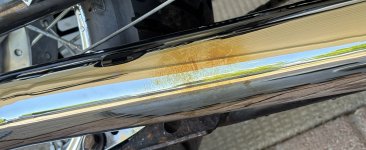 IMG_2061.jpeg