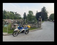 IMG_3995.jpeg