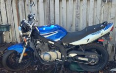 2007 Suzuki GS 500