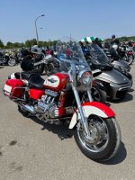 IMG_5555.JPG