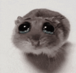 1750265836686.png