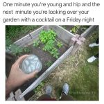 1750749425662.png