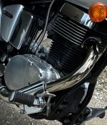 IMG_2181.jpeg