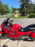 IMG_5391.jpeg