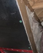 IMG_1582.jpeg
