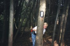 Peek a boo.jpg