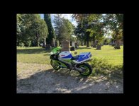 IMG_6450.jpeg