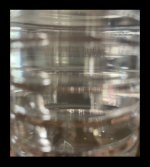 IMG_6608.jpeg