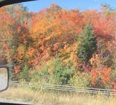 IMG_2061.jpeg