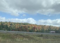 IMG_2063.jpeg