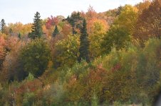 IMG_20250929_182025.jpg