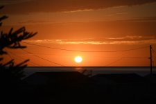 IMG_20251005_172547.jpg