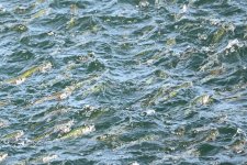 IMG_20251009_090649.jpg