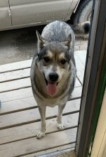 IMG_2019.jpeg