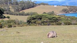 PXL_20251022_222853027.jpg PXL_20251022_222853027.jpg