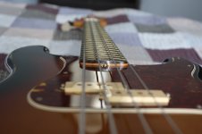 Squier Neck Slab Fingerboard.jpeg