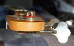 Squier Neck End Grain.jpeg