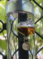 1764295808776.png 1764295808776.png