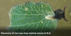 Screen Shot 2025-11-28 at Nov, 28    2025    12.51.39 PM.jpg