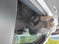 rollin.jpg rollin.jpg