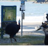 Screen Shot 2025-12-03 at Dec, 3    2025    4.38.33 AM.jpg