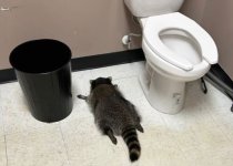 Screen Shot 2025-12-04 at Dec, 4    2025    6.43.35 AM.jpg