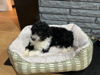 1764816947260.jpeg 1764816947260.jpeg