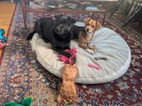 1764867252934.jpeg 1764867252934.jpeg