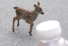 Screen Shot 2025-12-06 at Dec, 6 2025 8.13.32 AM.jpg Screen Shot 2025-12-06 at Dec, 6 2025 8.13.32 AM.jpg