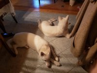 20200309174231-69cab6e4-me.jpg 20200309174231-69cab6e4-me.jpg