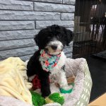 1765317818121.jpeg 1765317818121.jpeg