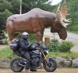 Screen Shot 2025-12-21 at Dec, 21    2025    12.53.10 AM.jpg