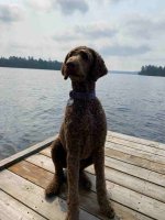 IMG_0053.jpg IMG_0053.jpg