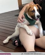 Screen Shot 2025-12-19 at Dec, 19 2025 5.58.12 PM.jpg Screen Shot 2025-12-19 at Dec, 19 2025 5.58.12 PM.jpg