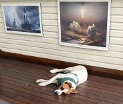 Screen Shot 2025-12-21 at Dec, 21 2025 12.25.44 AM.jpg Screen Shot 2025-12-21 at Dec, 21 2025 12.25.44 AM.jpg