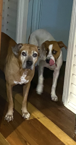 1767184942412.png 1767184942412.png