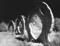 Screaming Heads (IR).jpg