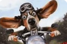 1769179017902.png 1769179017902.png